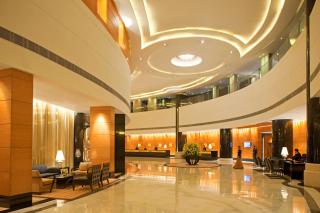 Radisson Blu Plaza Delhi Airport - Nuova Delhi - 8