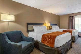 Comfort Suites Alpharetta-Roswell - Atlanta Area - Alpharetta - 4