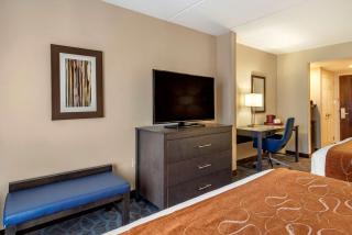 Comfort Suites Alpharetta-Roswell - Atlanta Area - Alpharetta - 3