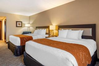 Comfort Suites Alpharetta-Roswell - Atlanta Area - Alpharetta - 2