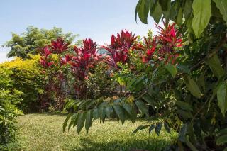 KAZ PASSION - Villa Haut de gamme - 8