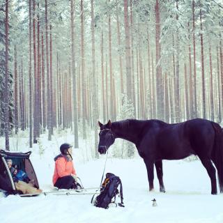 Charming 6 bedroom House & Horse Farm - Sleeps 12 - Horndal - 2