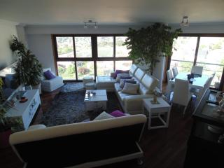 Duplex grandes cristaleras impresionantes vistas - Ourense - 0