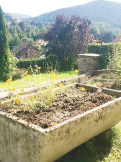 GITE ~ Clairefontaine - Cornimont - 1