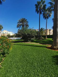 La Riviera Planta Baja - Dénia - 5
