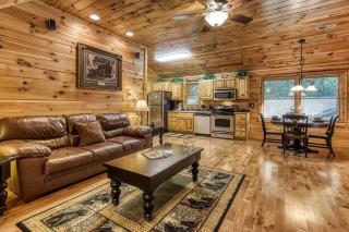 Papa Bear, Hot Tub, WIFI, 1089 FREE tickets each paid day, Dollywood and More - Sevierville - 1