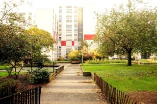 New : Grand T4 Cosy et tout équipé - 3