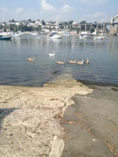 The Ferry House Inn - Plymouth - 6