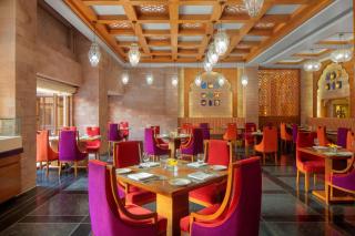 Radisson Jodhpur - Jodhpur - 8