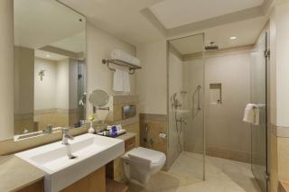 Park Plaza, Ludhiana - Ludhiana - 3