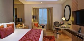 Radisson Blu Jaipur - Jaipur - 5