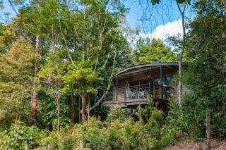 Whispering Valley Cottage Retreat - Maleny - 9