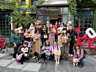 Blue Owl-Hualien No 2396-2397-2398-2399 - Hualien - 3