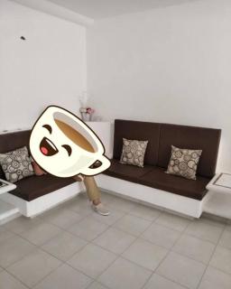 Marina Diamante Acapulco con todos los Servicios - 3