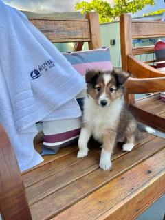 Hospedaria da Lagoa - 4