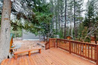 Baden Bear Den - Truckee - 1