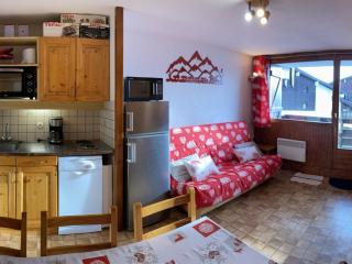 Appartement cosy aux Saisies, 5 pers, 27m², balcon, proche pistes et commerces - FR-1-293-361 - Hauteluce - 0
