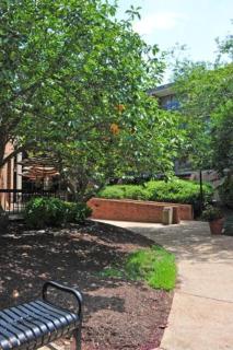 Fort Magruder Historic Williamsburg, Trademark by Wyndham - 3