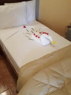 Tropic Garden Hotel - Banjul - 5