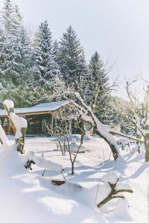 Blickinsfreie - Cabin - Schöneck - 9