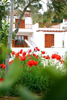 Skopelos Summer Homes - Skopelos - 6