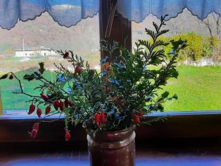 Cascina Ca' Scarlatta - Your Mountain Holiday - 7