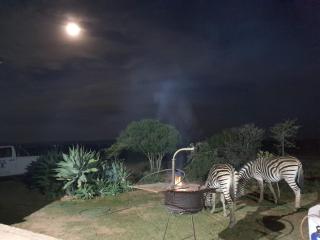 Kudu Ridge Game Lodge - Addo - 2
