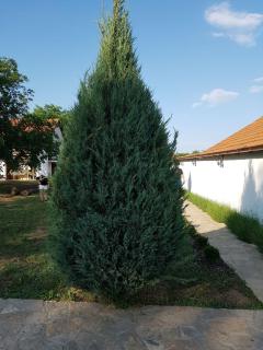 Vikendica Lešić - 5