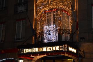 Hotel Du Parc - Mulhouse Centre - Mulhouse - 9