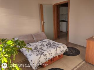 Apartament "Good Night" - Nowy Dwór Gdański - 9