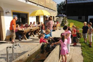 Exenbacher Hof - Pension - Arnbruck - 9