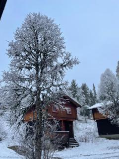 Måsåplassen Friisvegen Mountain Lodge - Ringebu - 2