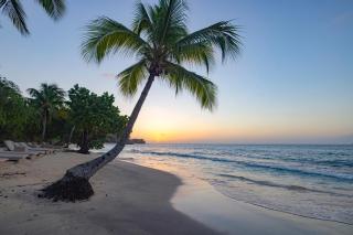 Royalton Grenada, An Autograph Collection All-Inclusive Resort - 4