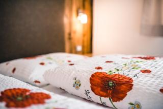 Chalet La Flüta Margherita - 8