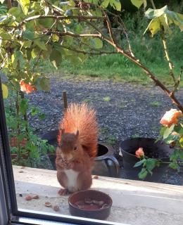 La fermette - chambres d'hôtes dans environnement calme et arboré - 5