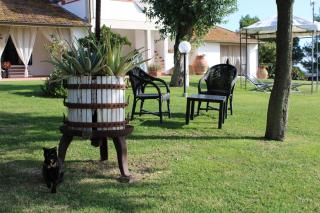 Agriturismo il Montoto - Nature & Relax - 4