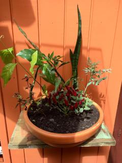 Hostel Antônio Pescador - Centro da Guarda do Embaú - 5