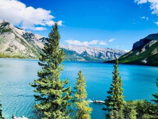 Hotel Room in Windtower Lodge-121 - 5