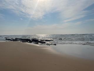 The Studio on Cordia DSTV WIFI 2km from Umhlanga Beach - 7