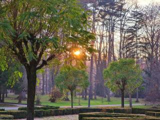 Studio apartman Elena - Banja Koviljača - 6