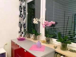 Ferienwohnung Anita - 1