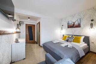 Biały Jeleń z basenem i jacuzzi - 5