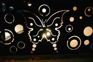 The Butterfly - Sângeorgiu de Mureș - 0