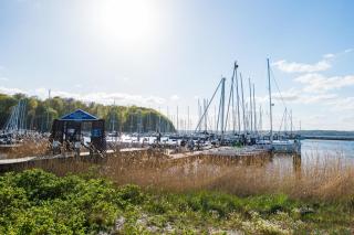 Ferienwohnung Pape - 3