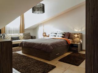 Amazing City View Residences - Penthouse & Apartment - Bucarest - 9
