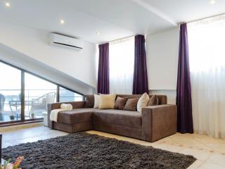 Amazing City View Residences - Penthouse & Apartment - Bucarest - 8