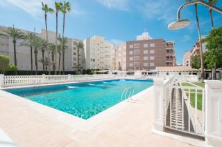 093 - Mil Palmeras Dream - Torrevieja - 0