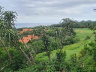 Zimbali 28 Club Drive - Ballito - 7