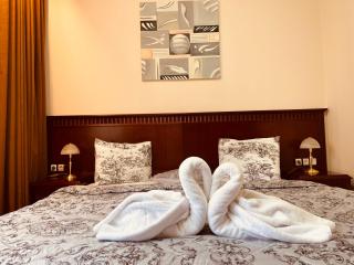 Luxury Downtown Apartment - Gondola - Bansko - 4