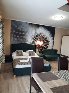 Kék Lagúna Wellness Apartmanok - Egerszalók - 3